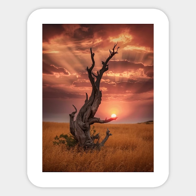 weathered tree  field of golden Sticker by animegirlnft